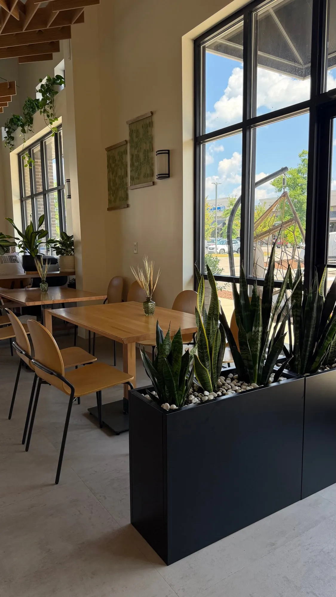 Tables by the tall front windows, beside a planter of snake plants